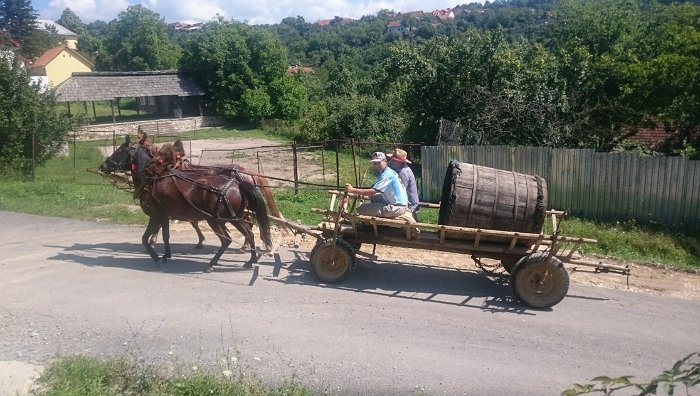 Koně s povozy jsou spíše vzácností (Svatá Helena)